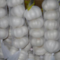 Chinesische frische normale weiße Knoblauch 5.0cm